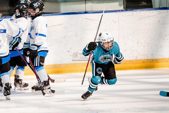 Sharks-may3-0130