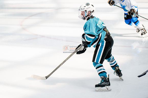 Sharks-may3-0293