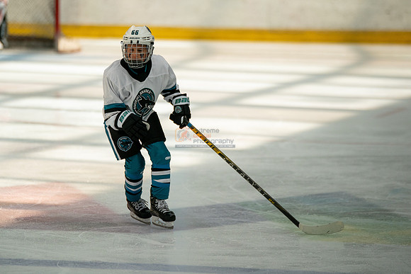 sharks-may2-0191