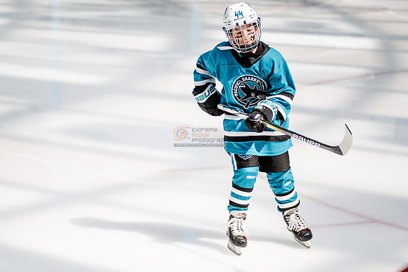 Sharks-may3-0043