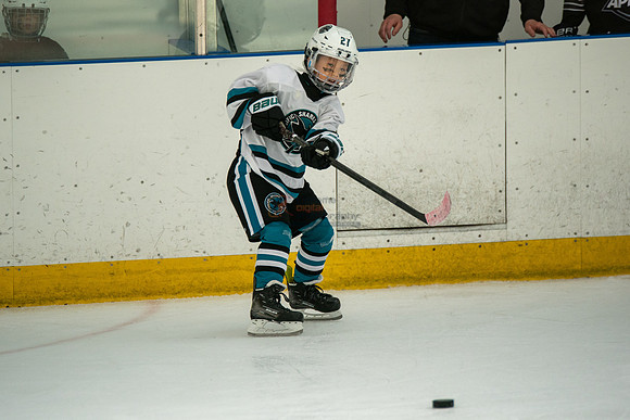 sharks-may2-0349