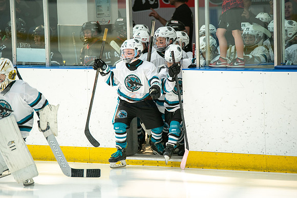 sharks--may1-0003