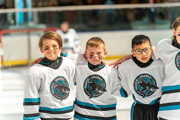 sharks-may2-9554