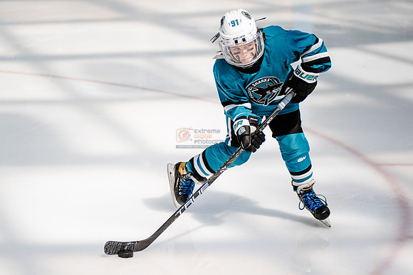 Sharks-may3-0040