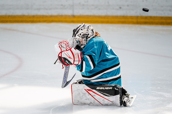 Sharks-may3-0050