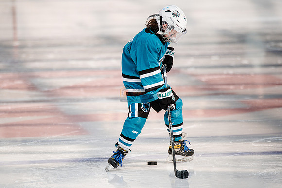 Sharks-may3-0034
