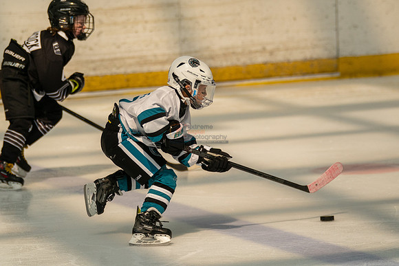 sharks-may2-0214