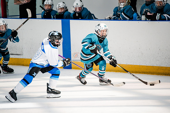 Sharks-may3-0282