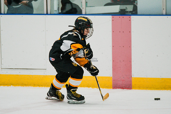 hawksnov92024-203