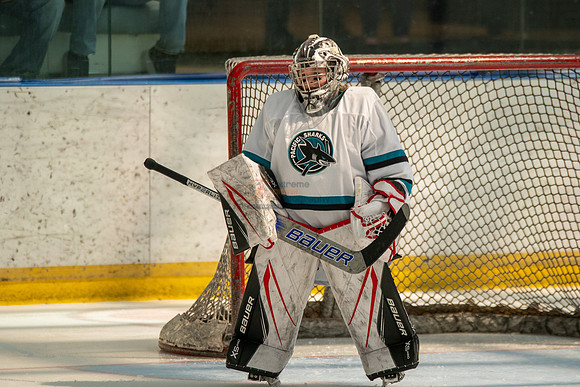 sharks-may2-0440