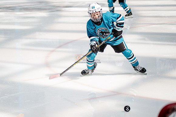 Sharks-may3-0214