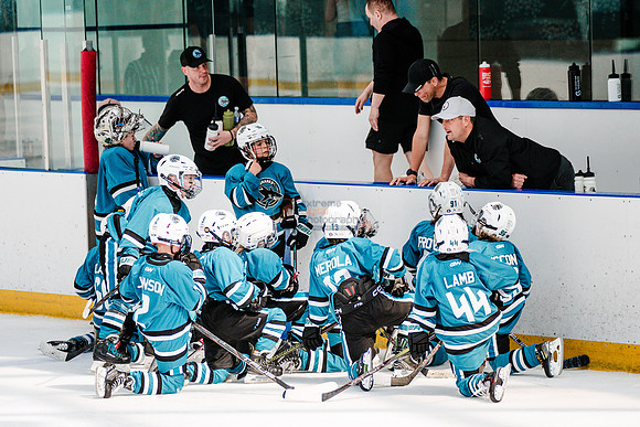 Sharks-may3-0288