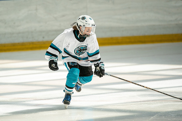 sharks-may2-0324