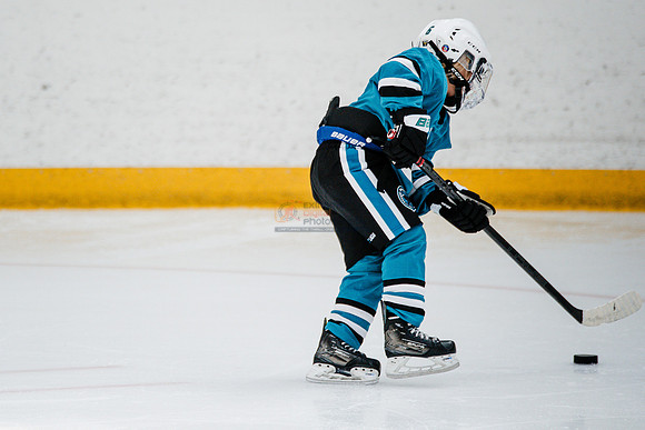 Sharks-may3-0159