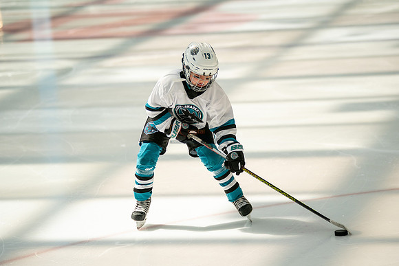 sharks-may2-0037