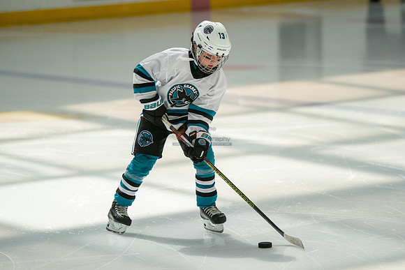 sharks-may2-0024