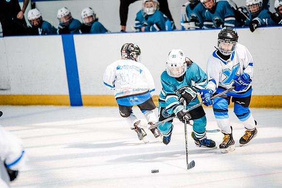 Sharks-may3-0234