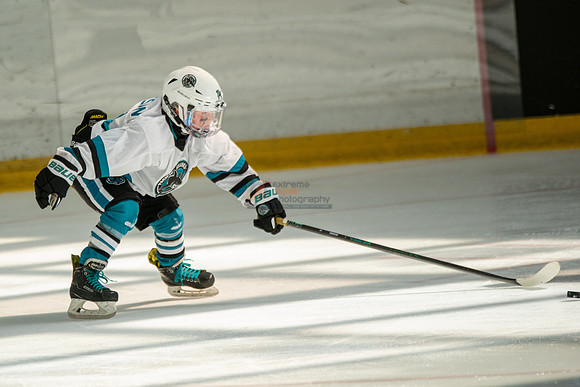 sharks-may2-0401