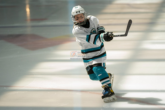 sharks-may2-0004