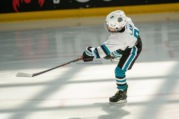 sharks-may2-0033