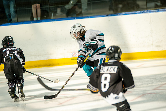 sharks-may2-0207