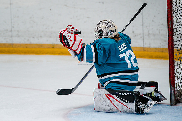 Sharks-may3-0313