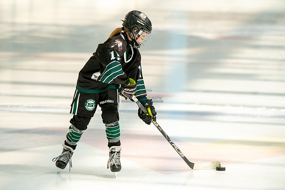 Husky-prospects-0037