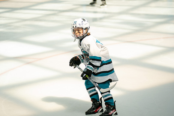 sharks-may2-0259