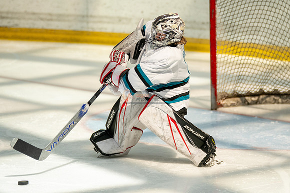 sharks-may2-0088