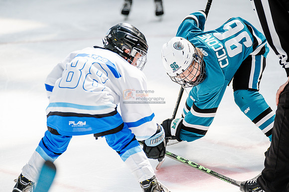 Sharks-may3-0318