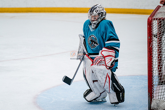 Sharks-may3-0297