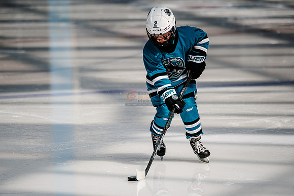 Sharks-may3-0029