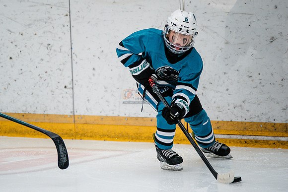 Sharks-may3-0161