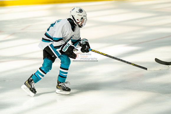 sharks-may2-0217