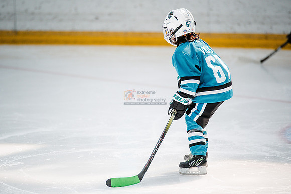 Sharks-may3-0112