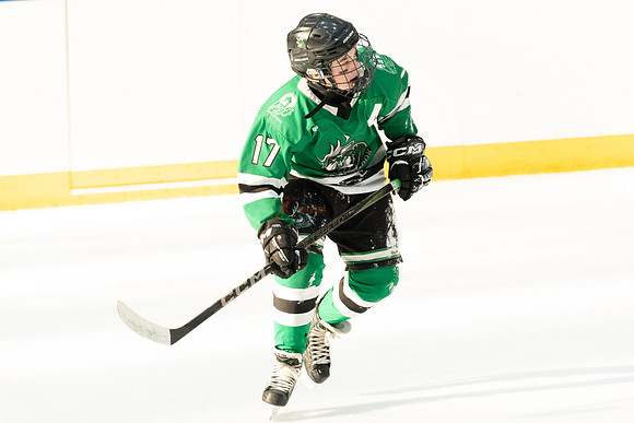 allstar-feb8-Basha-green-9569