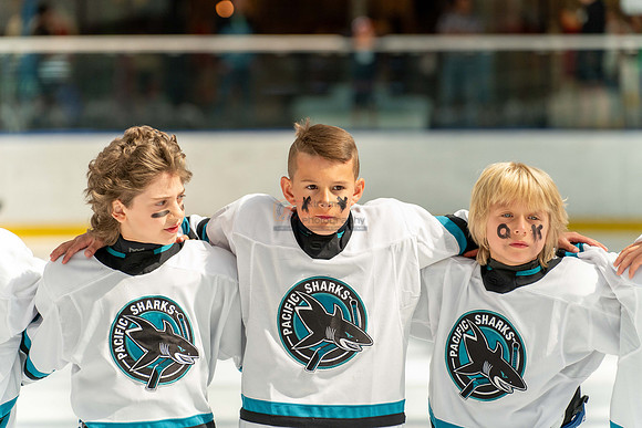 sharks-may2-9564