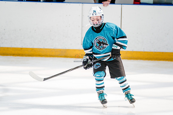 Sharks-may3-0123