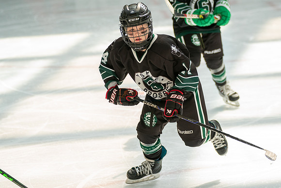 Husky-prospects-0183