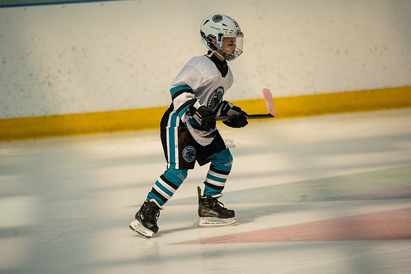 sharks-may2-0201