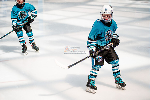 Sharks-may3-0292