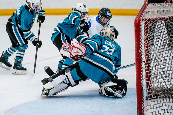 Sharks-may3-0302