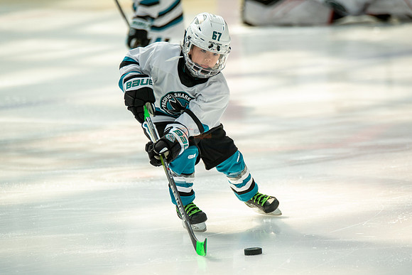 sharks--may1-0033