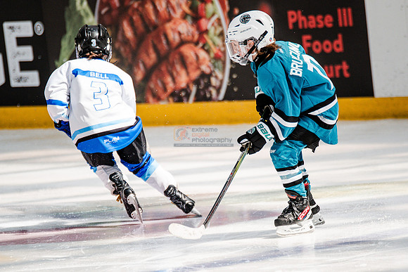 Sharks-may3-0148