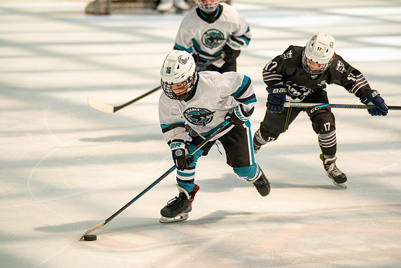 sharks-may2-0397