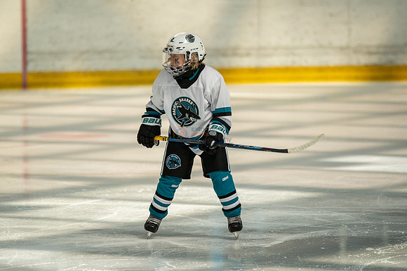 sharks-may2-0160