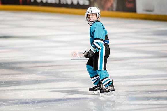 Sharks-may3-0278