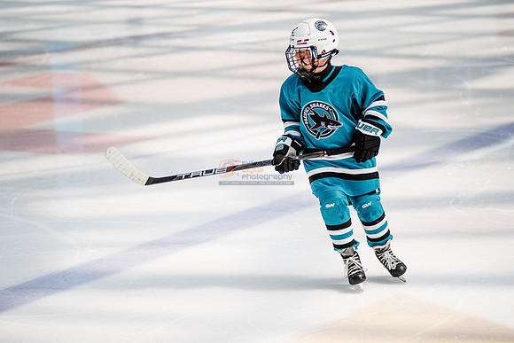Sharks-may3-0144
