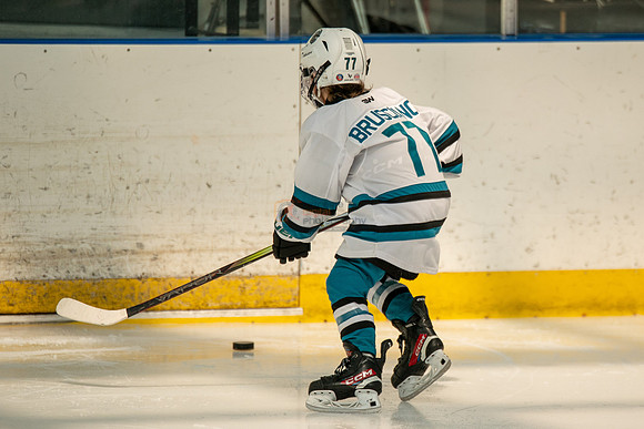 sharks-may2-0136