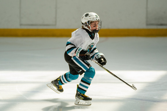 sharks-may2-0296